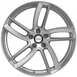 Dlw Elite 8.5x20 Silver